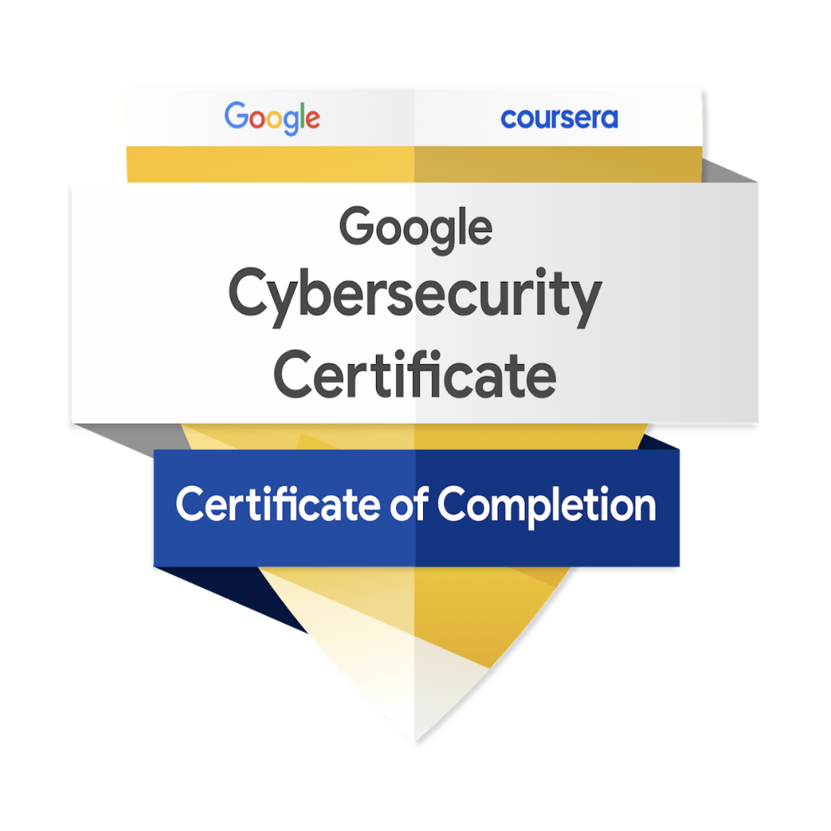Cybersecurity Professional Certificate