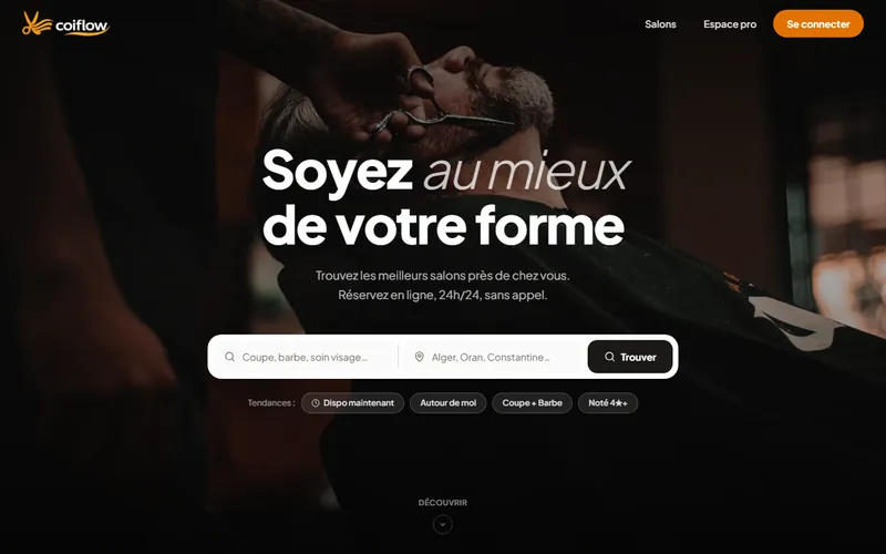 Aperçu du site Coiflow